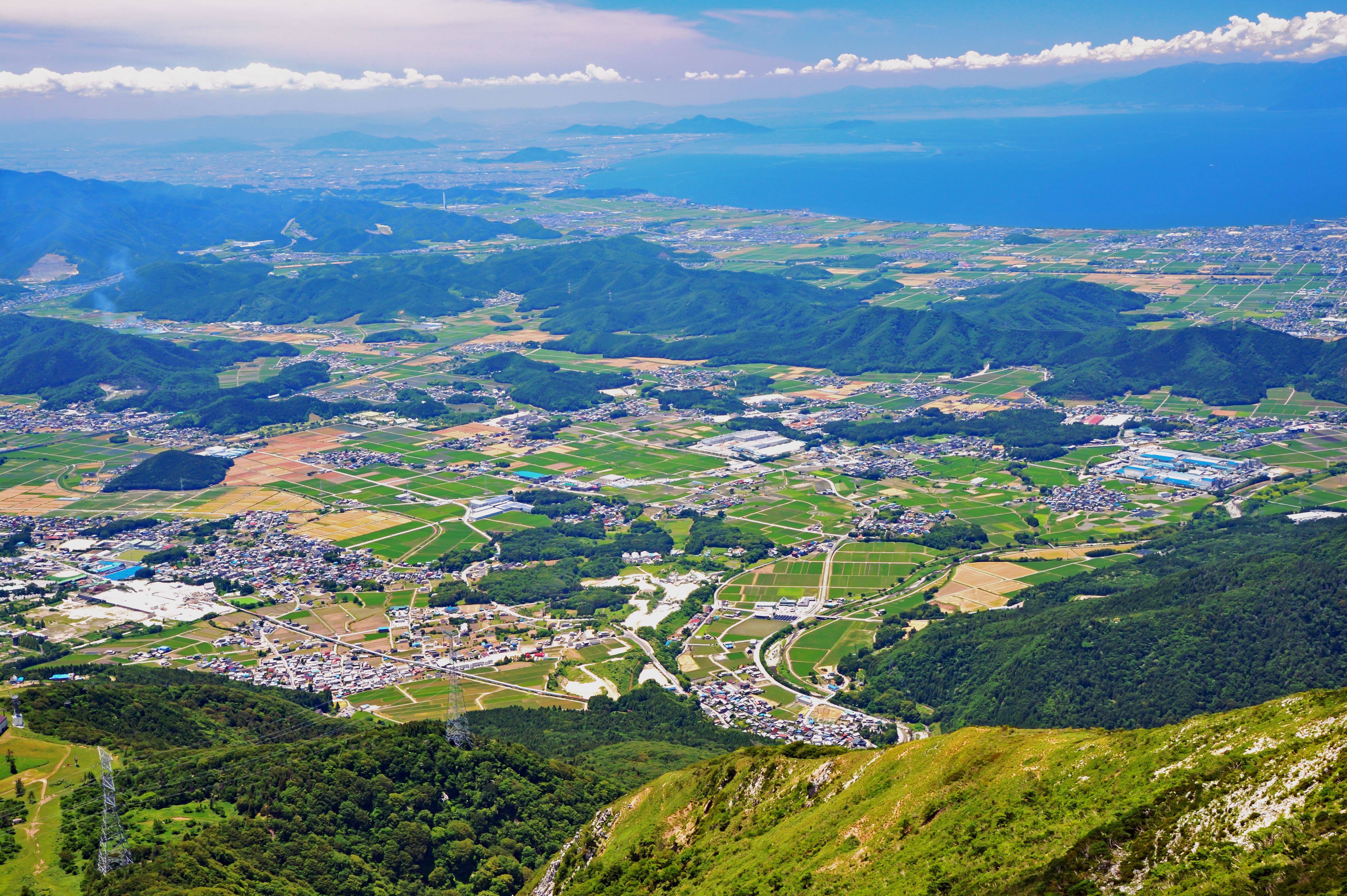 写真